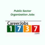 Public Sector Organization